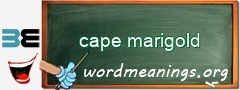 WordMeaning blackboard for cape marigold
